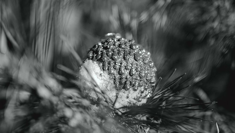 Photograph by Виктор Саврей