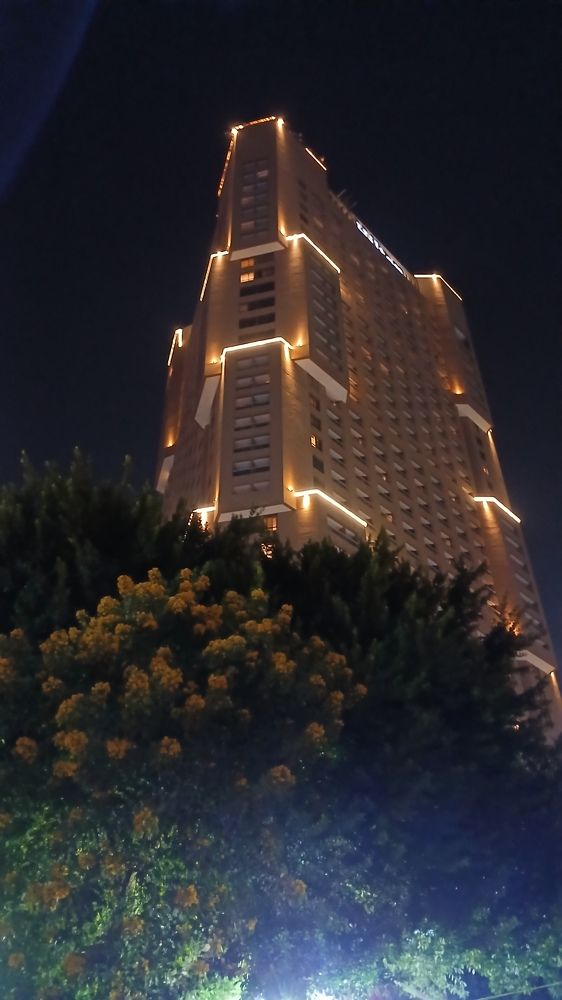 Photograph by Dina Eid