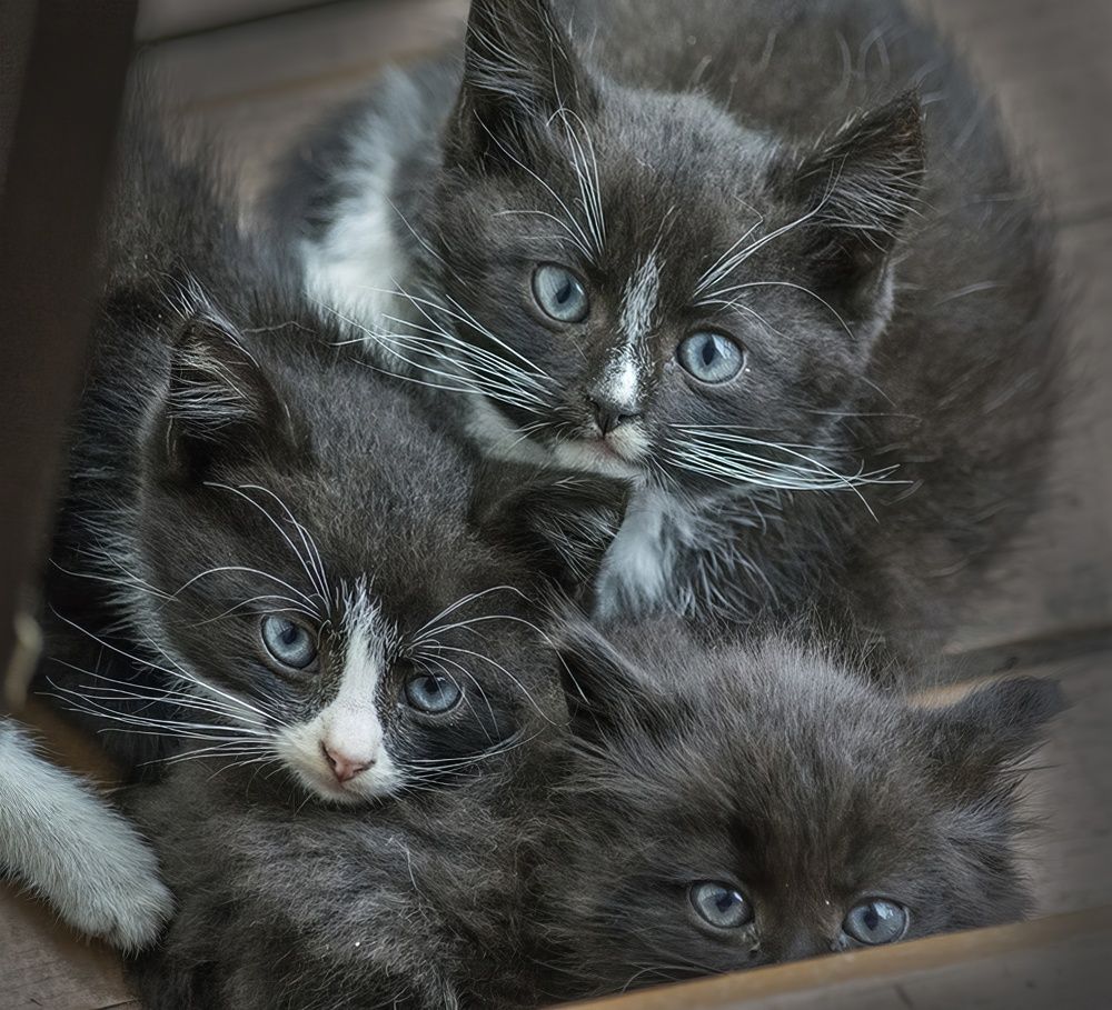 Photograph by Борис Кравецкий