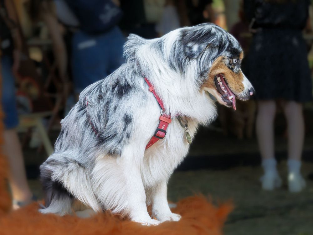 Photograph by Борис Полтавец