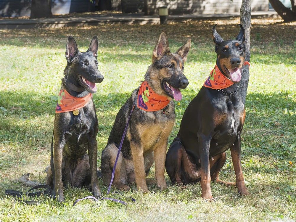 Photograph by Борис Полтавец