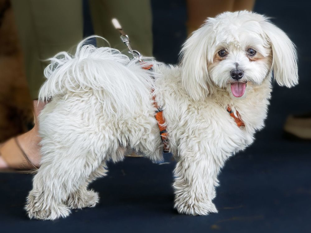 Photograph by Борис Полтавец