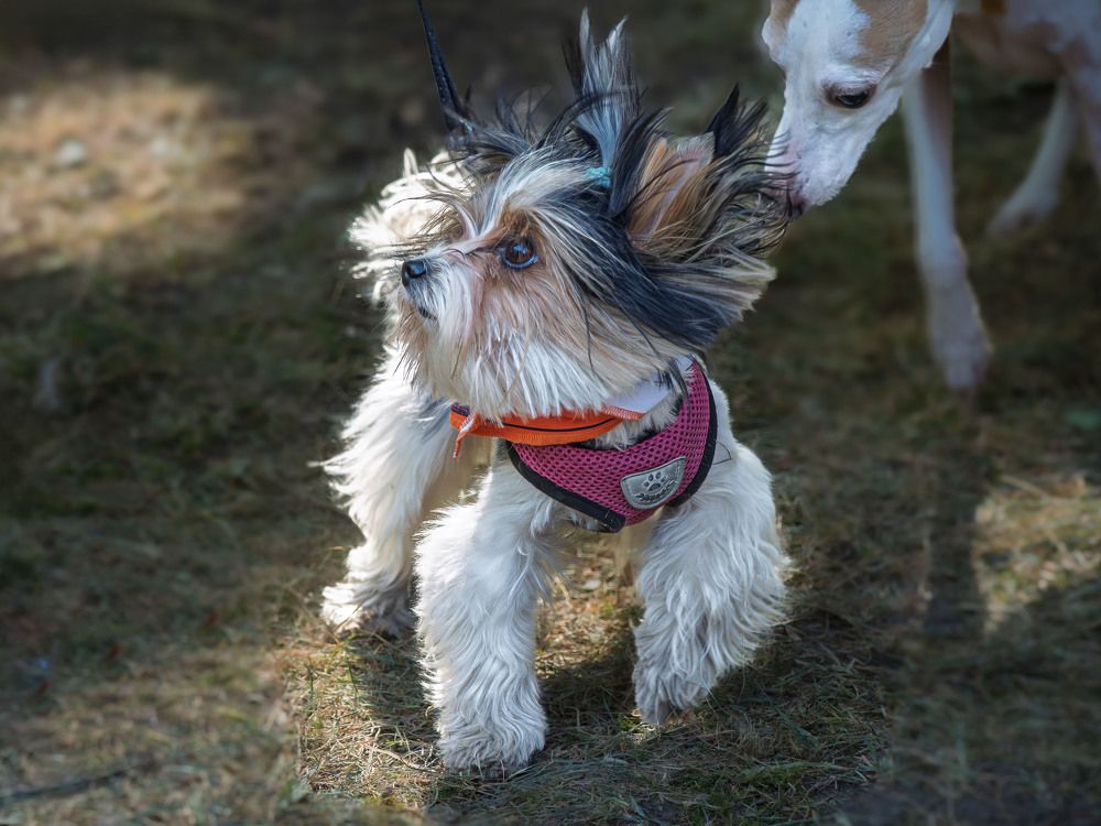 Photograph by Борис Полтавец