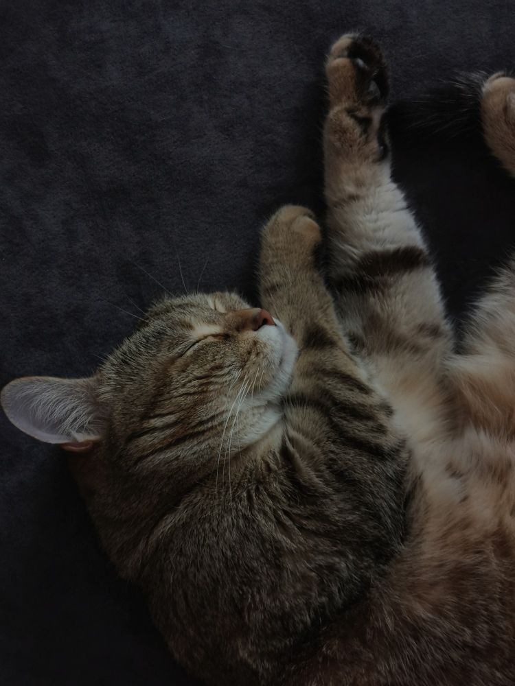 Photograph by Oxana Kostsova