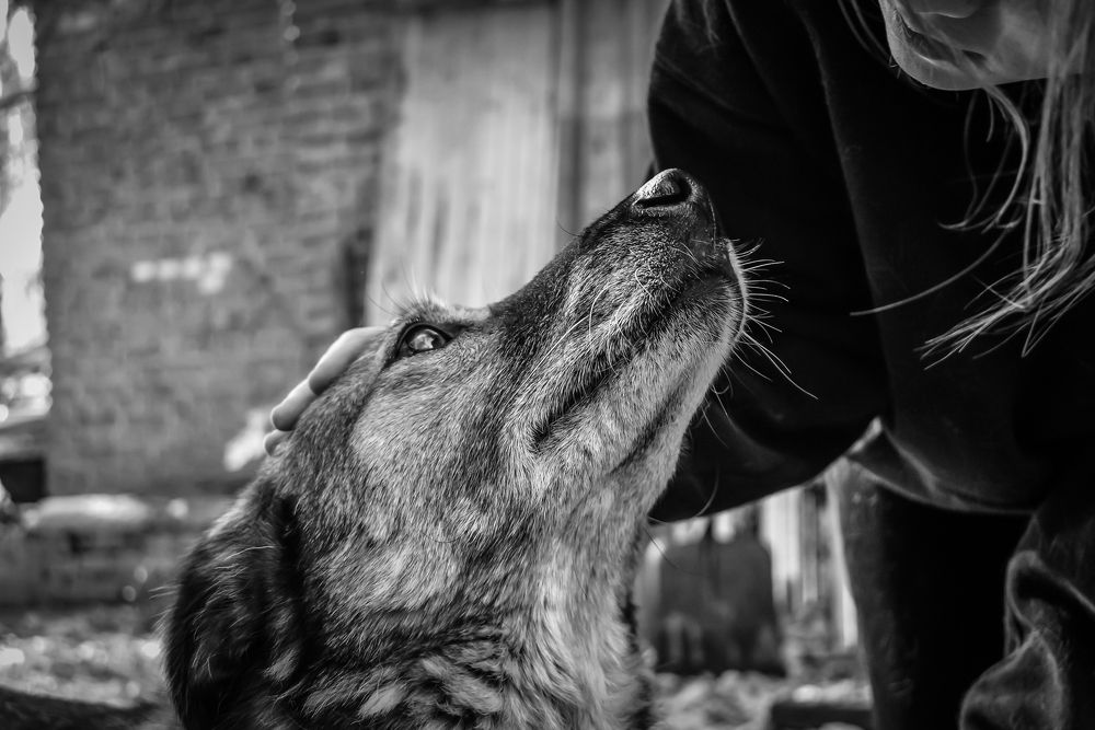 Photograph by Марина Бикеева-Сулейманова