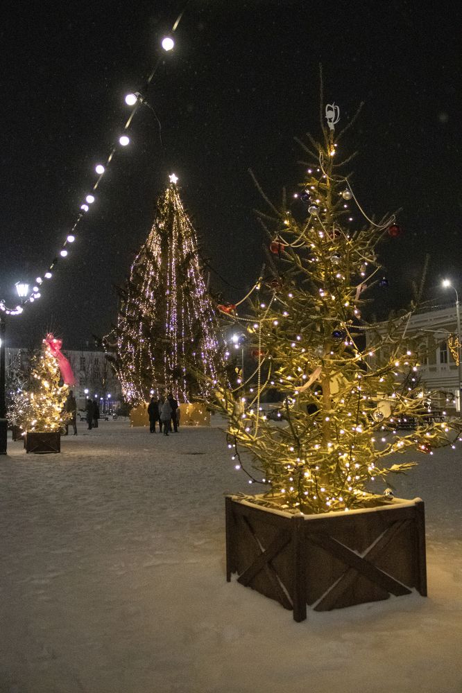 Фотография автора Веста Ягужинская