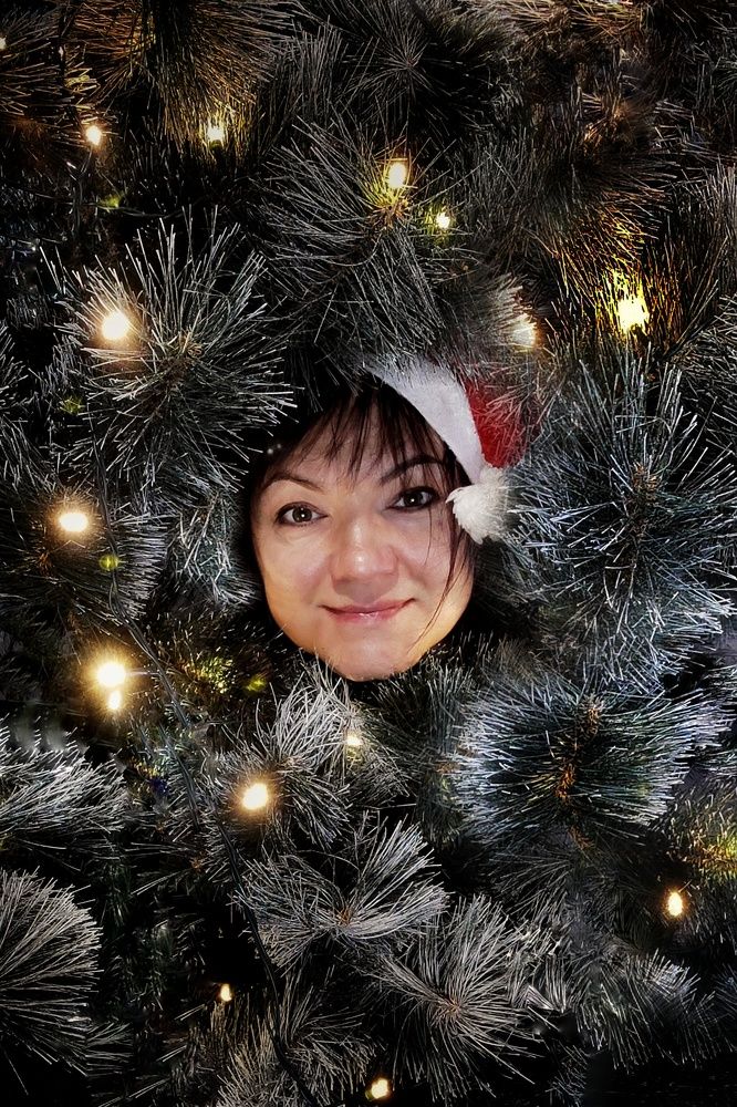 Photograph by Хоменчук Людмила