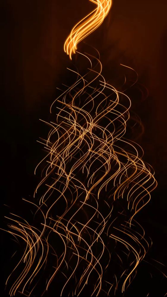 Photograph by Anna Vlasova