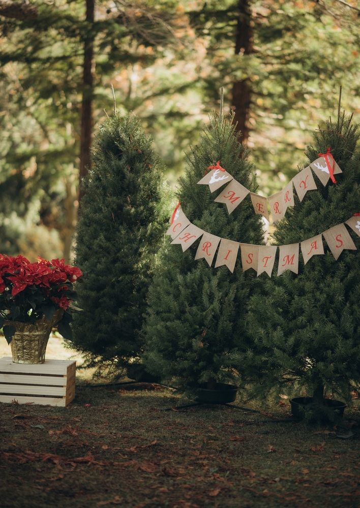 Photograph by Anna Vlasova