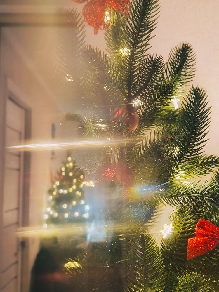 Фотография автора Екатерина Солодовник