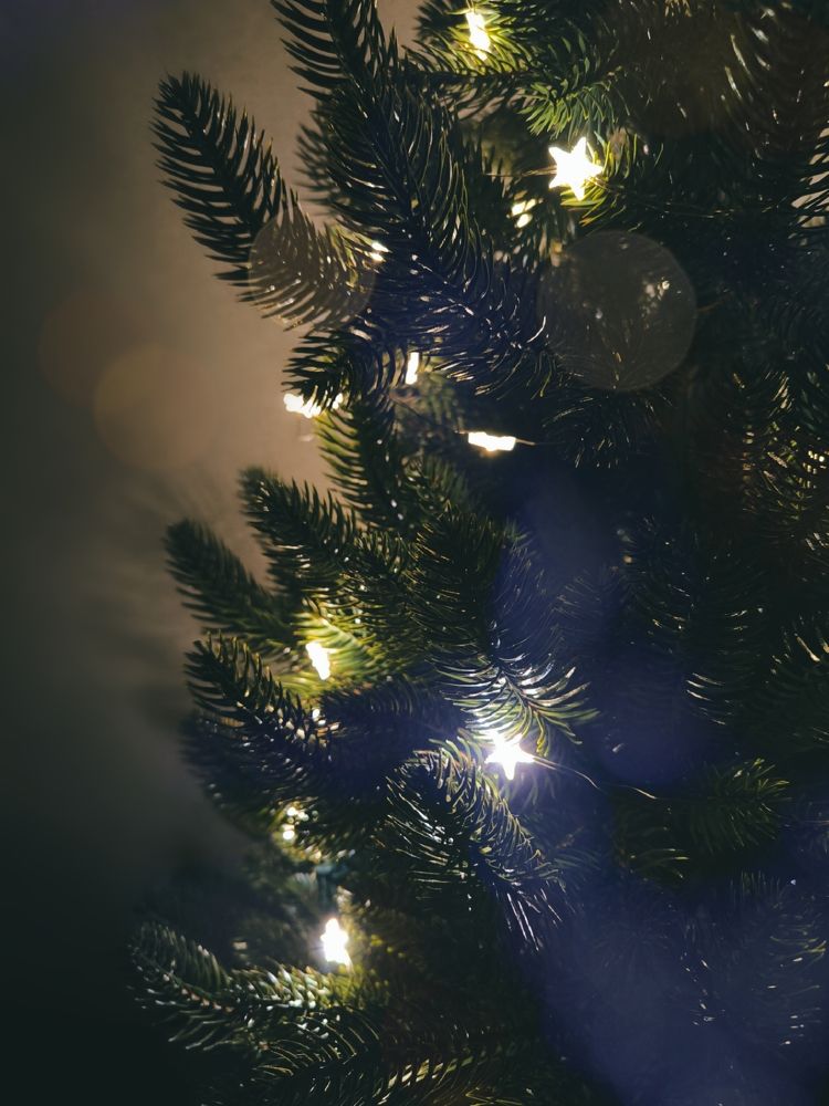 Фотография автора Екатерина Солодовник