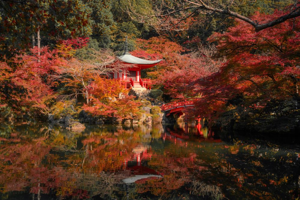 Photograph by Kaznov Stanislav