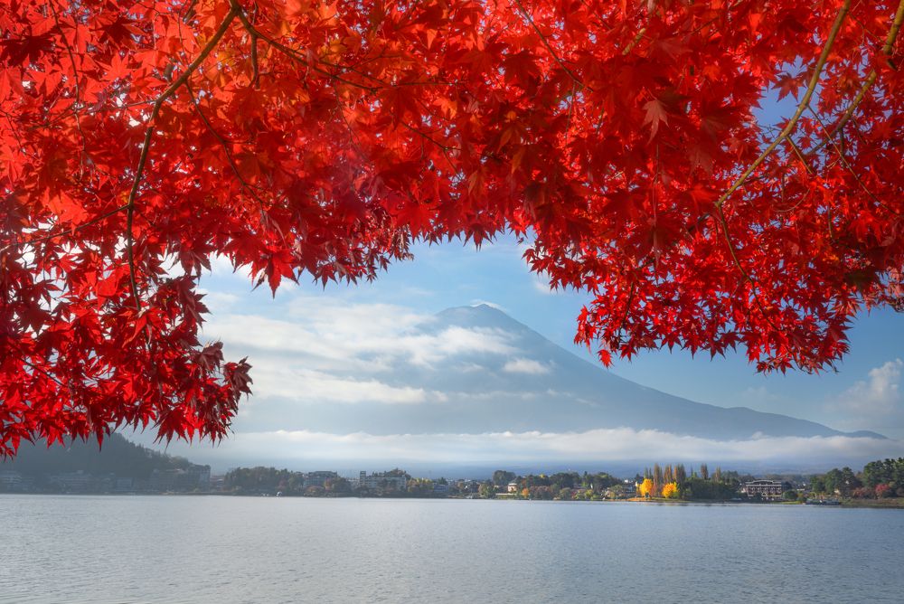 Фотография автора Kaznov Stanislav