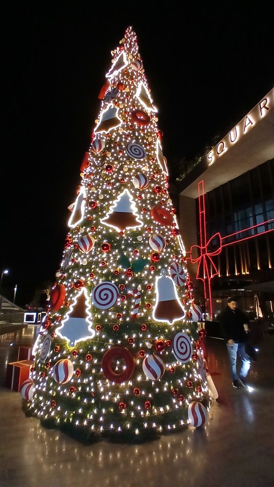 Photograph by Dina Eid