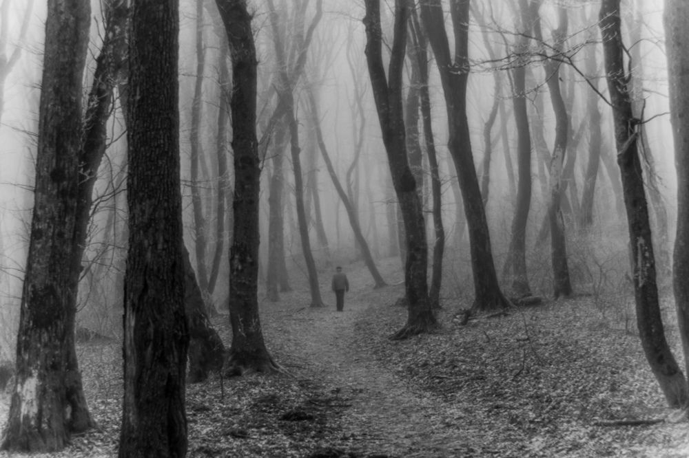 Photograph by Виталий Маслов