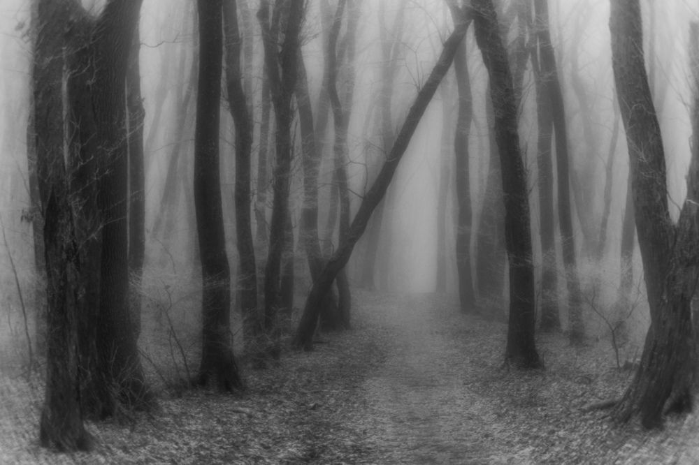 Photograph by Виталий Маслов