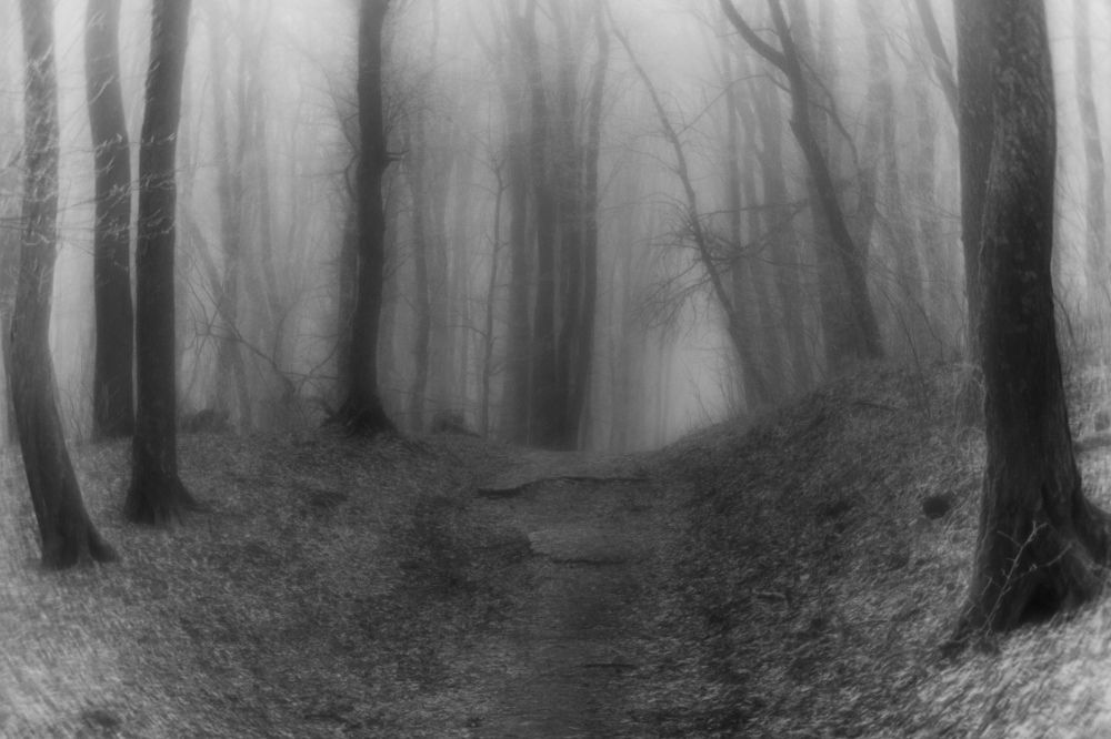 Photograph by Виталий Маслов