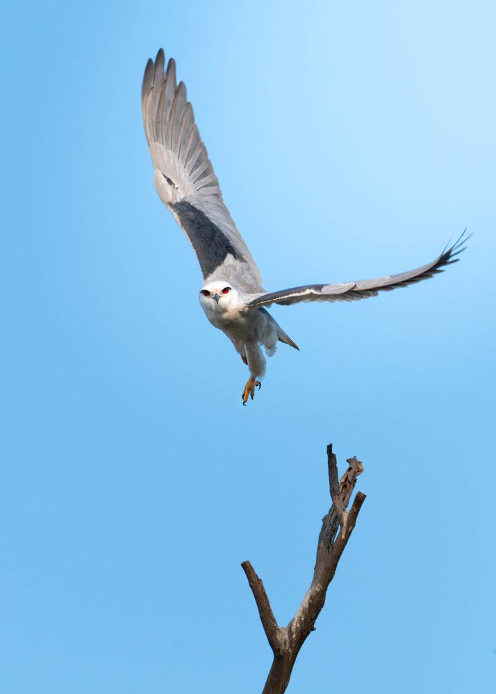 Photograph by Pritam Mandal