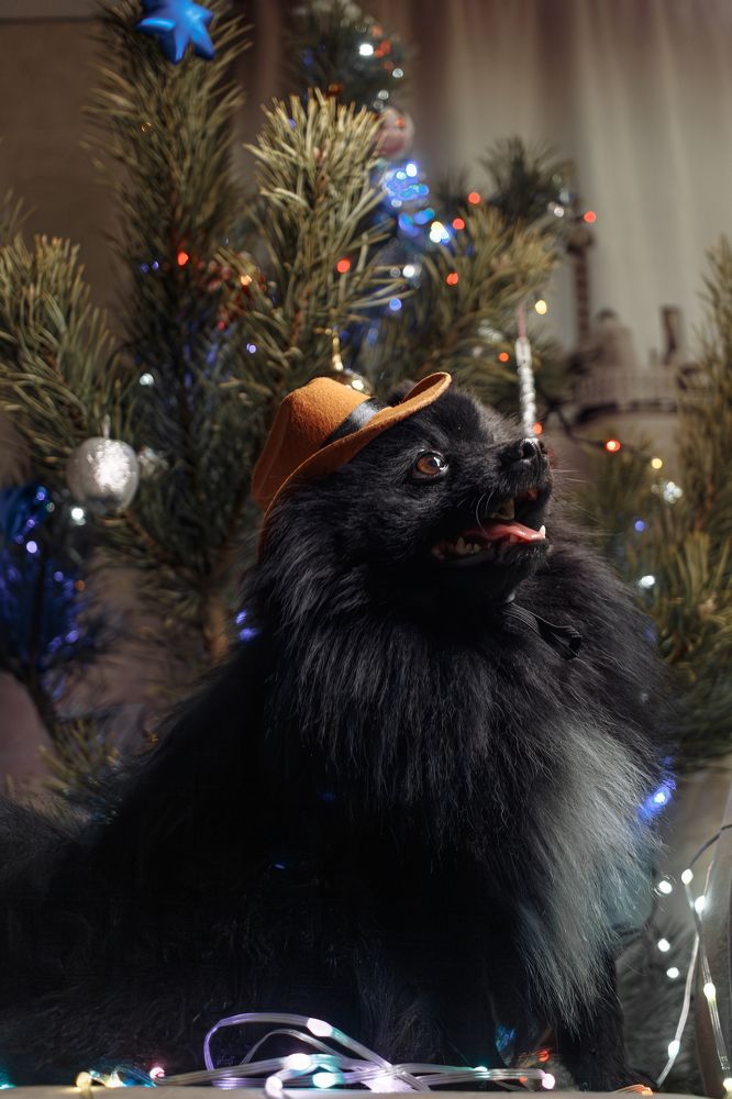 Фотография автора Алина Руденко