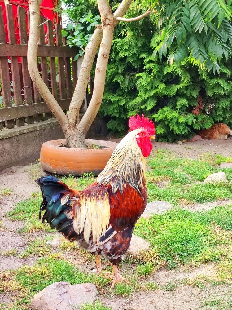 Фотография автора Рузинова Елена