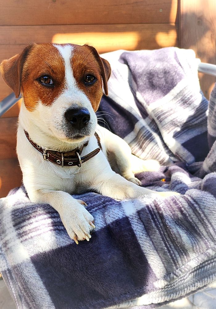 Фотография автора Рузинова Елена