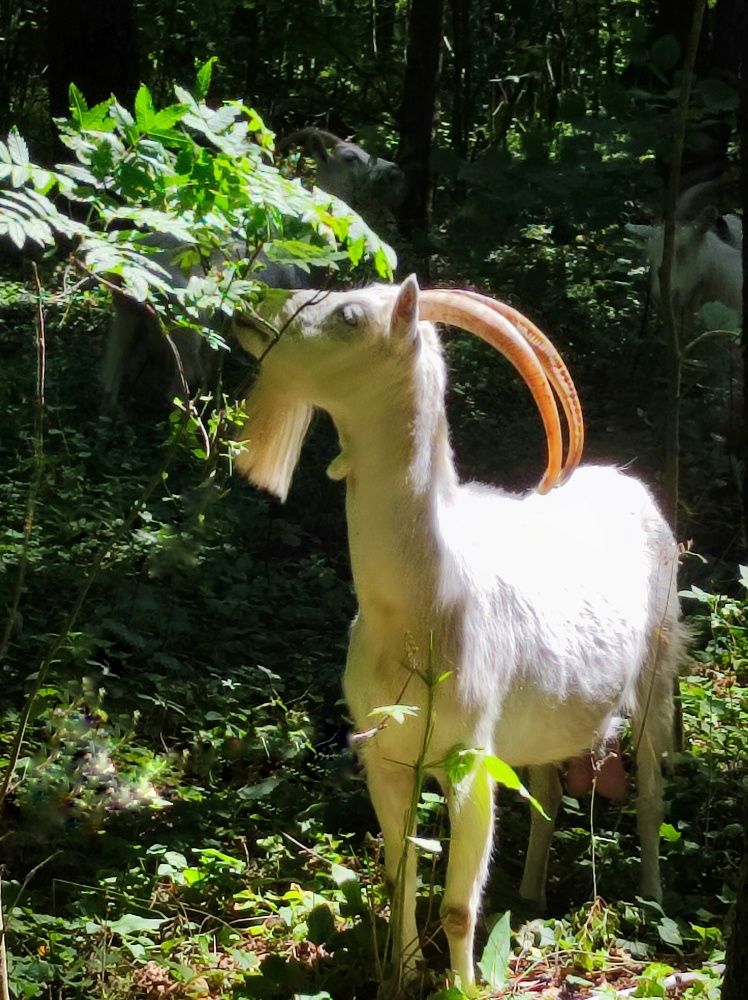 Фотография автора Рузинова Елена