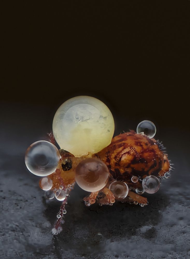 Photograph by Sergio Gomez Dominguez