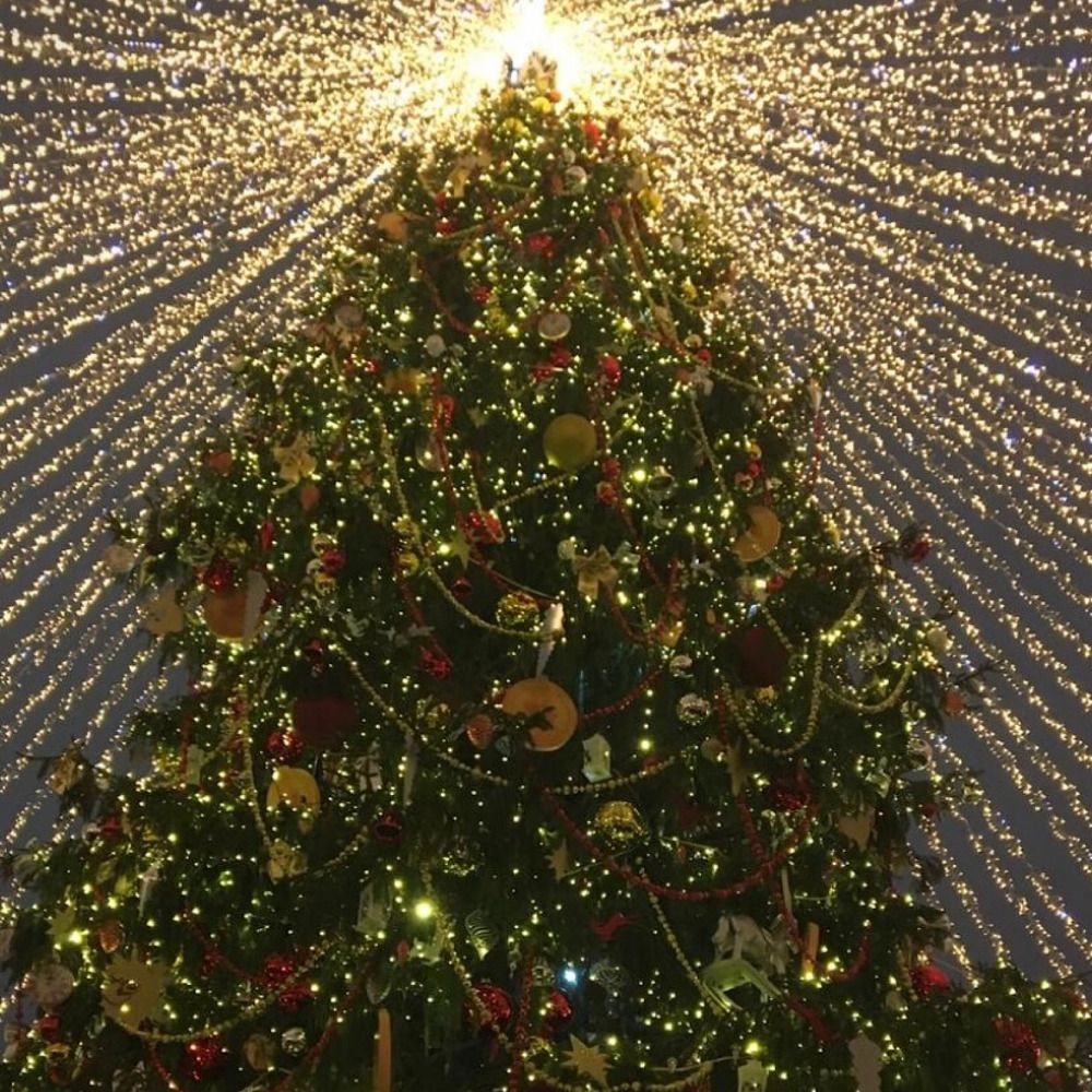 Photograph by Наталия Любчикова