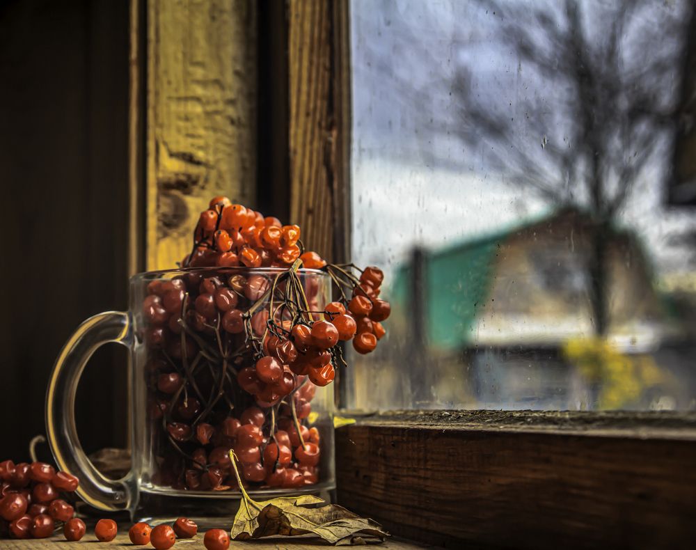 Photograph by Ринат Файзуллин