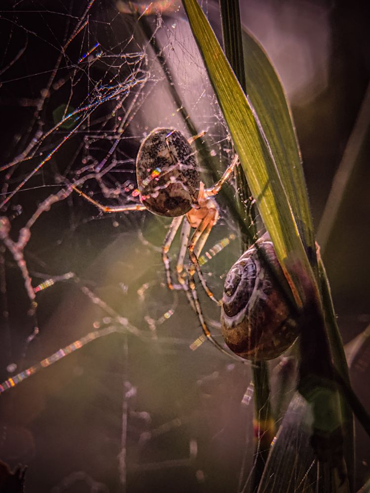 Photograph by Елена Макеева