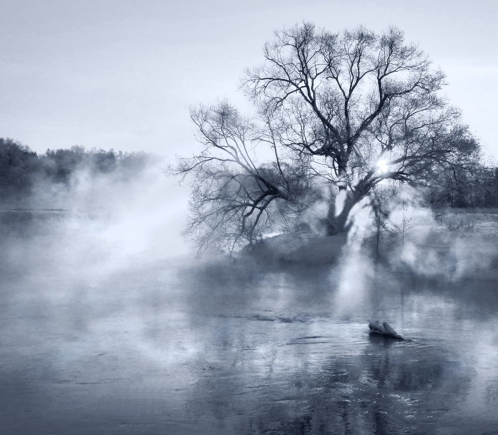 Photograph by Заболотская Ольга