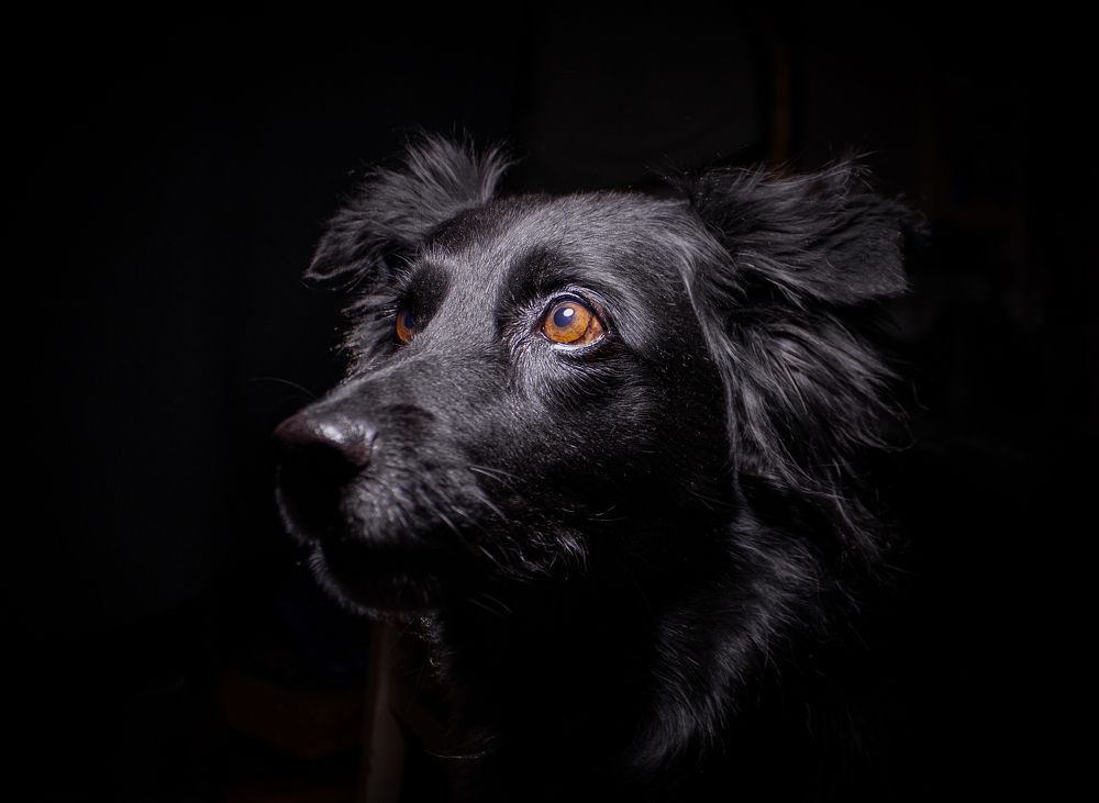 Photograph by Наташа Шибаева