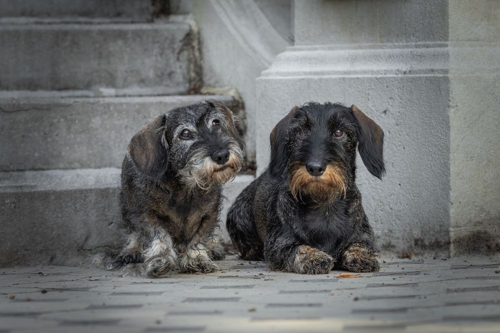 Photograph by Irene Ruysch