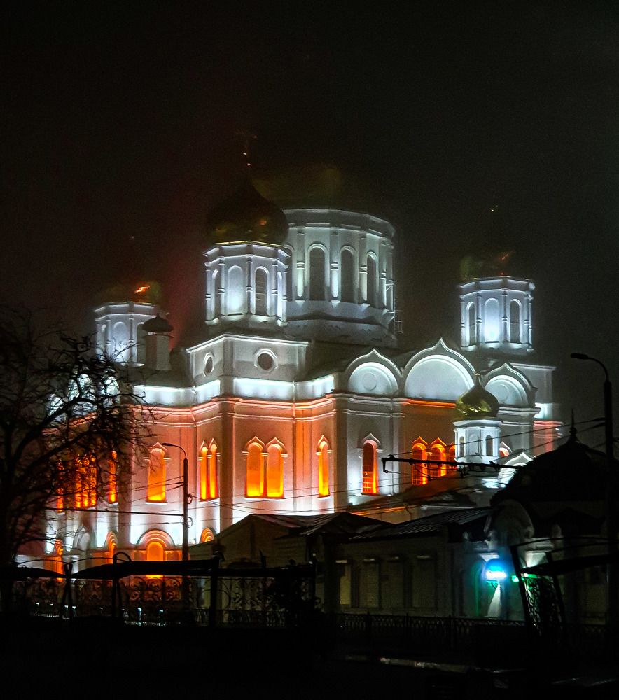 Фотография автора Дарья Новгородцева