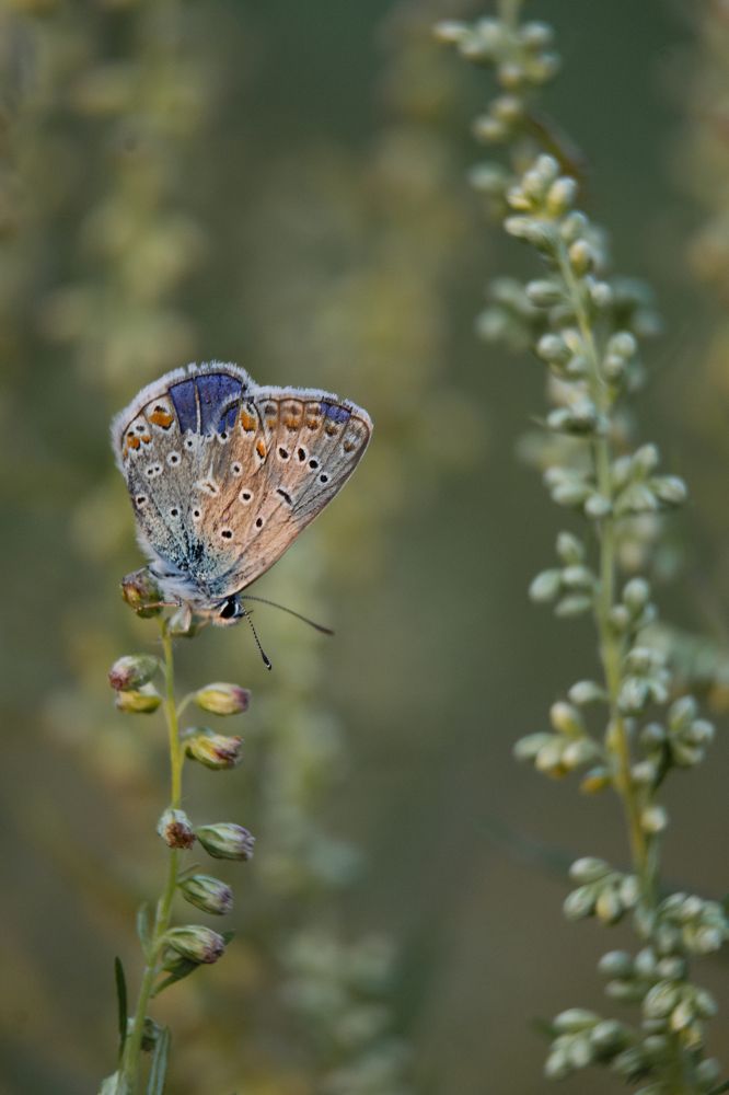 Photograph by Наталья Быстрая