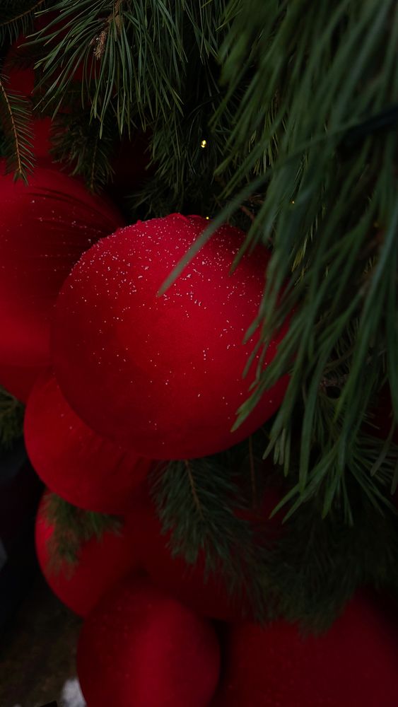 Фотография автора Татьяна Прашкевич