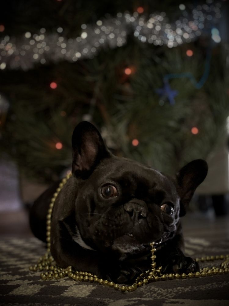 Photograph by Марина Фомичева