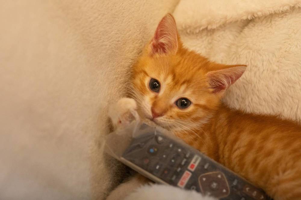 Photograph by Харитонова Ирина