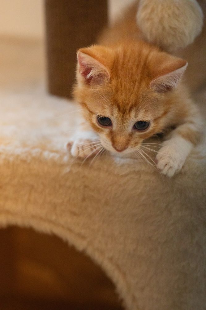 Photograph by Харитонова Ирина