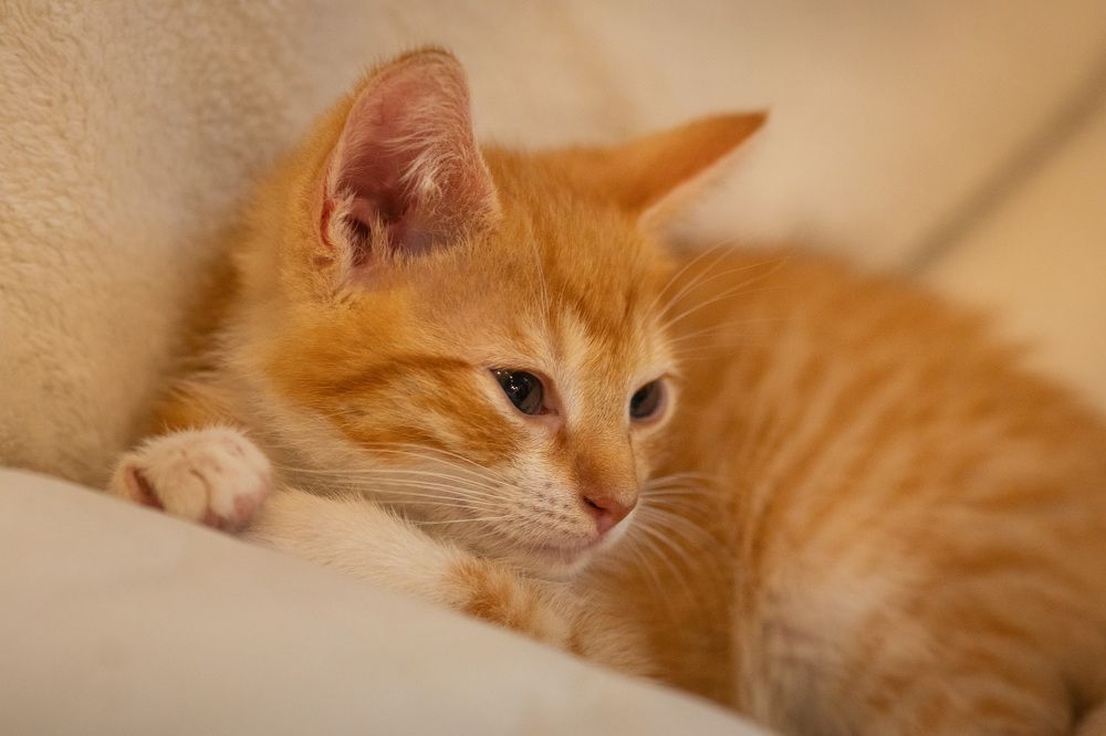 Photograph by Харитонова Ирина