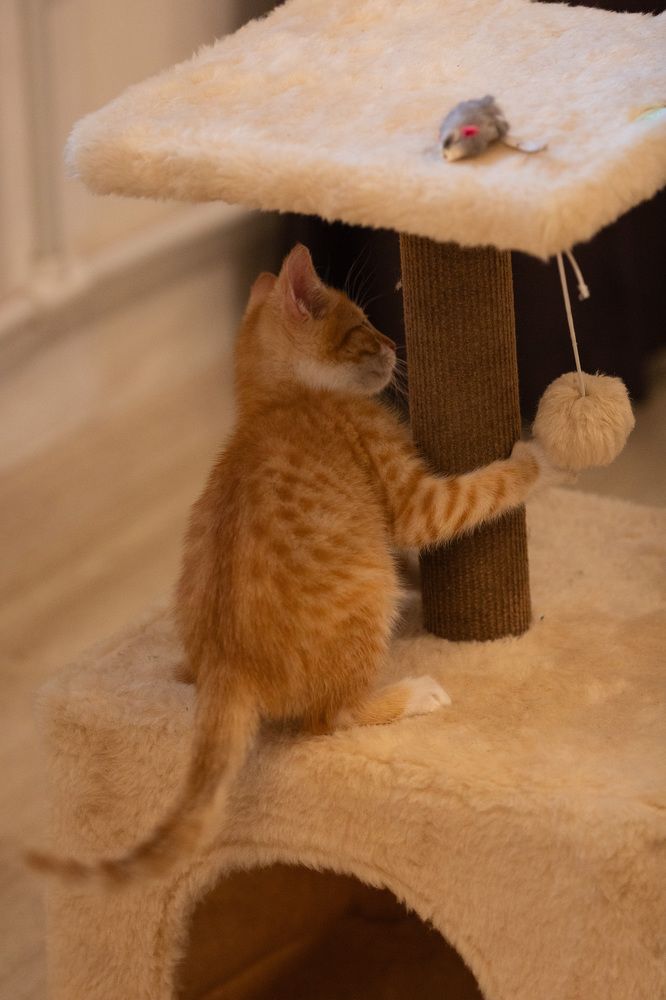 Photograph by Харитонова Ирина