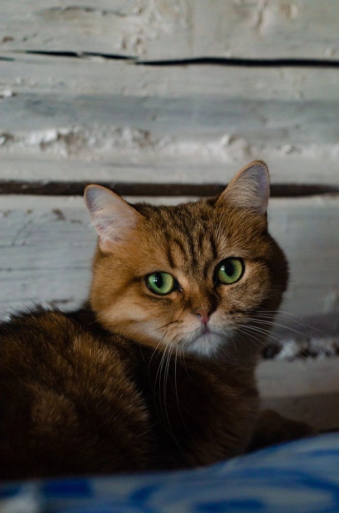 Photograph by Ляйсан Мубаракова