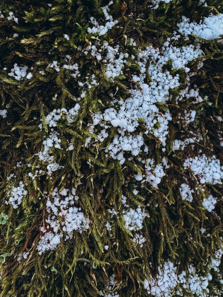 Photograph by Александра Кишикова