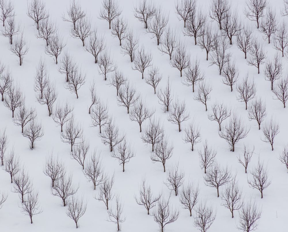 Photograph by Demir Pepic