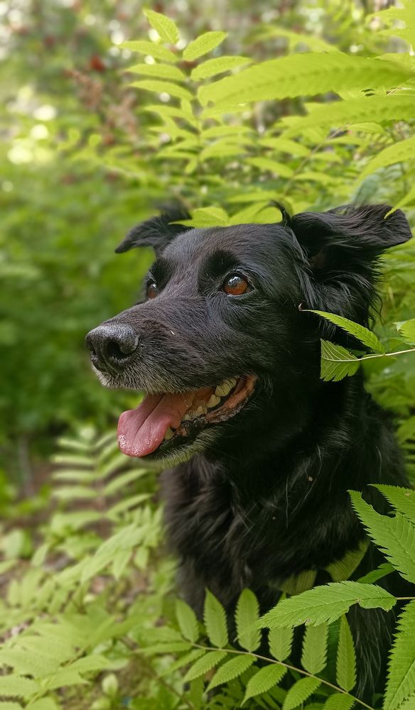 Photograph by Наташа Шибаева