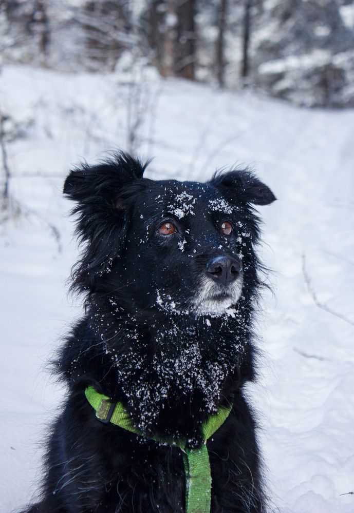 Photograph by Наташа Шибаева