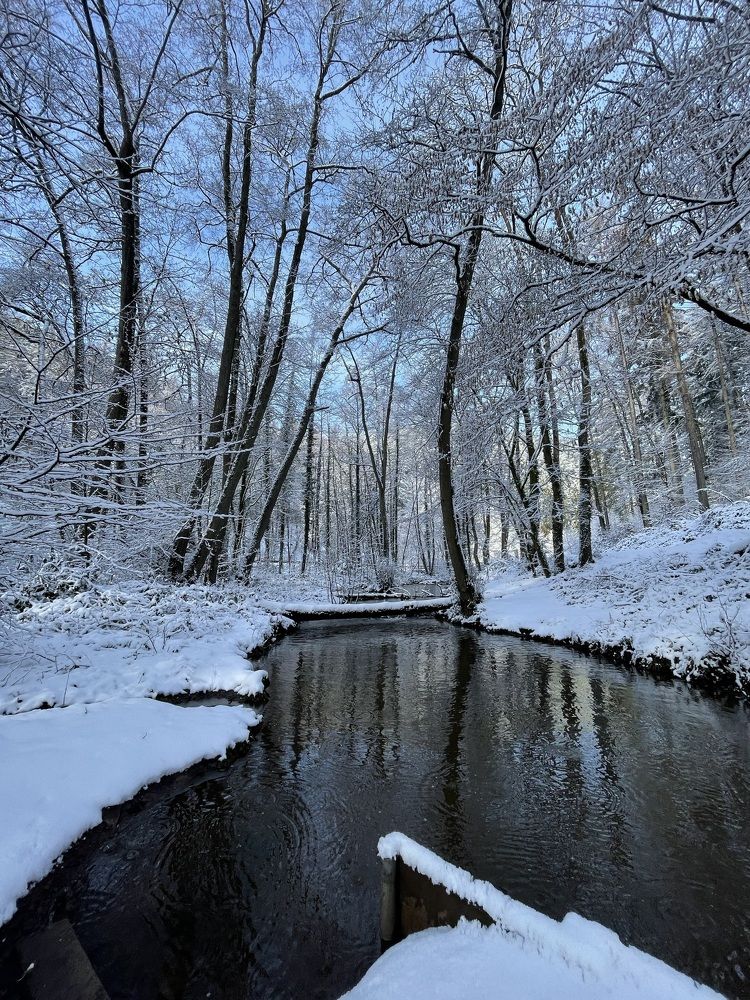 Photograph by Юлия