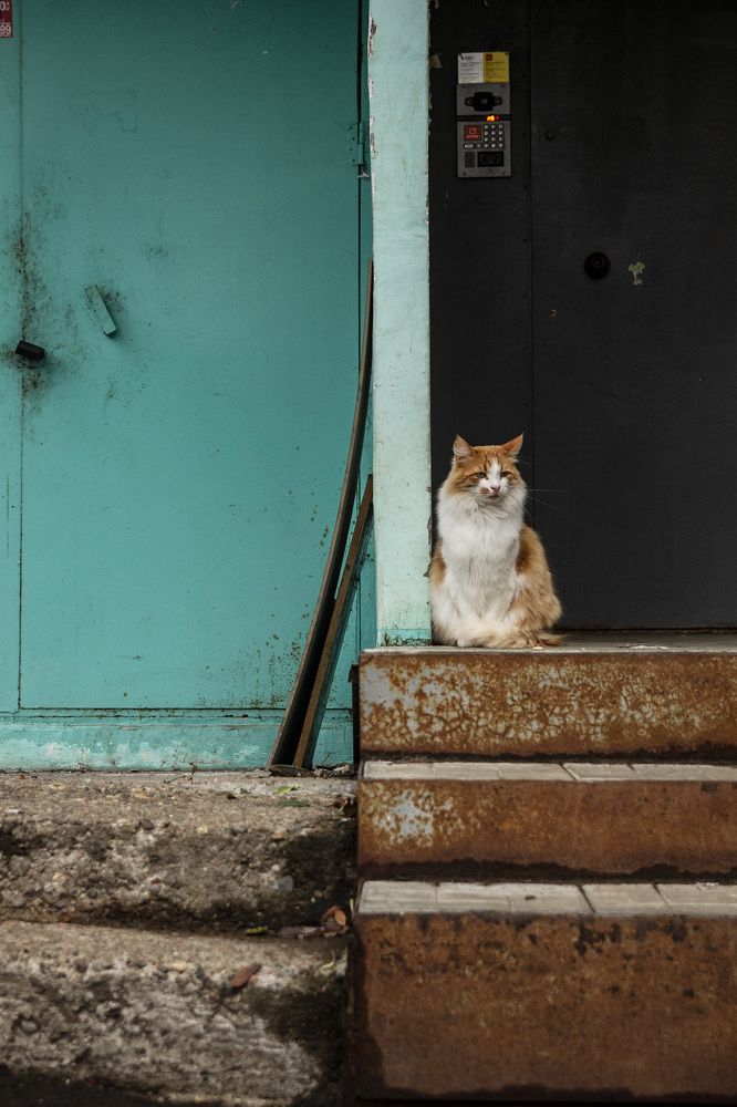 Фотография автора Андрей Рогов