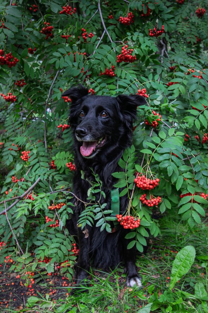 Photograph by Наташа Шибаева