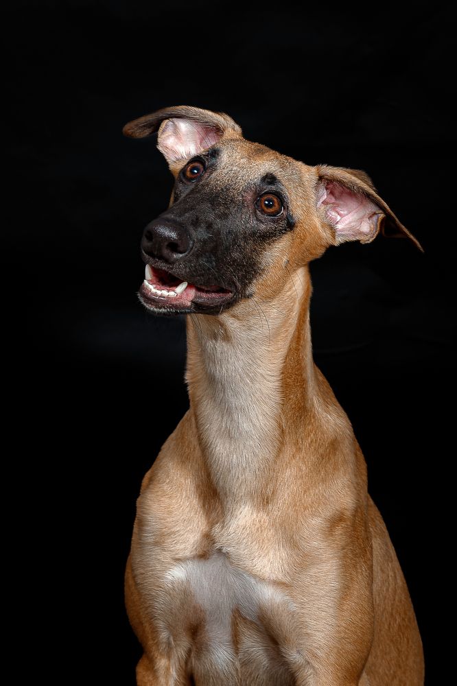 Photograph by Людмила Бандурина